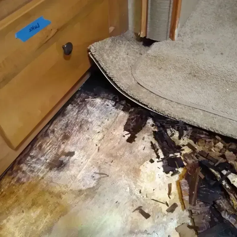 Wood Floor Water Damage in Trinidad, CO